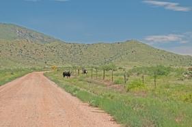 2015 08 10_0571road to ft bowie